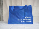 Nonwoven promotional bag
